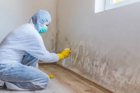 Best Attic Mold Removal in Bakersfield, CA