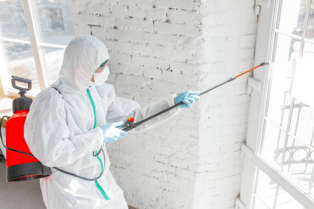 Professional Mold Removal in Bakersfield, CA