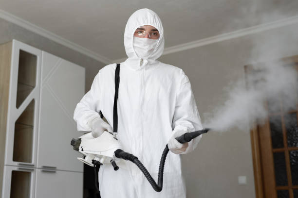 Best Environmental Consulting for Mold Prevention in Bakersfield, CA